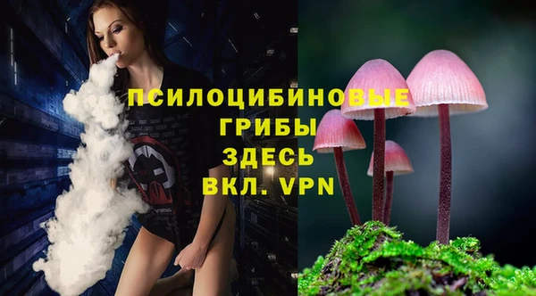 тгк Алзамай
